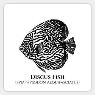 Discus Fish with Common and Latin Names - black and white Magnet